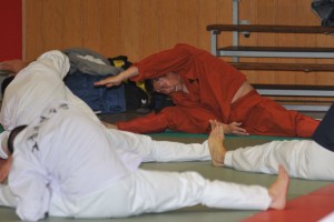 Stages Hapkido et Taekkyon