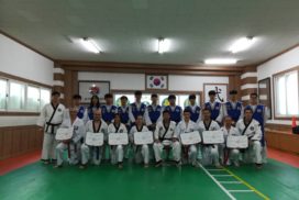 Voyage stage Taekwondo et Hapkido